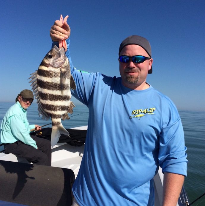 Sheepshead, Sanibel Fishing & Captiva Fishing, Wednesday, 3-2-16 ~ #Sanibel #Captiva.