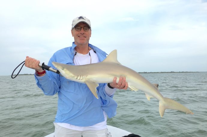 Blacknose Reef Shark, Sanibel Fishing & Captiva Fishing, Monday, March 28, 2016 ~ #Sanibel #Captiva.