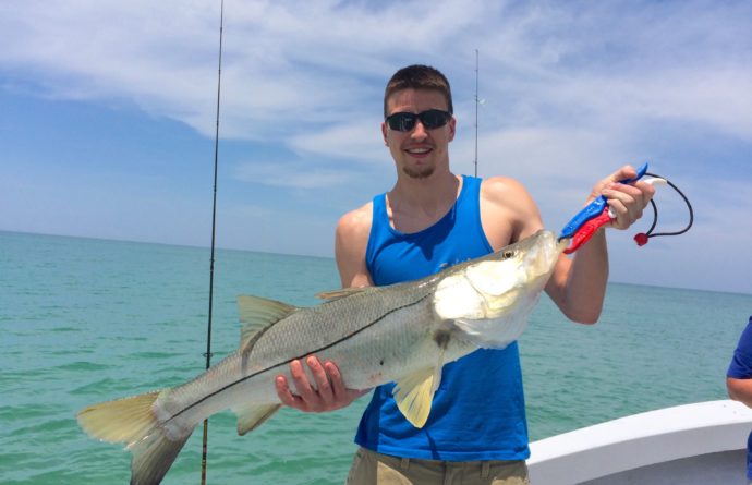 Big Snook, Catch & Release, Sanibel Fishing & Captiva Fishing, Tuesday, May 17, 2016.