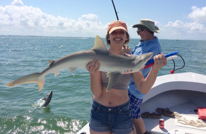 Blacknose Shark , Catch & Release, Sanibel Fishing & Captiva Fishing, Monday, May 16, 2016.