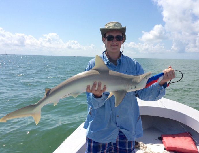 Blacknose Shark, Catch & Release, Sanibel Fishing & Captiva Fishing, Sunday, May 22, 2016.