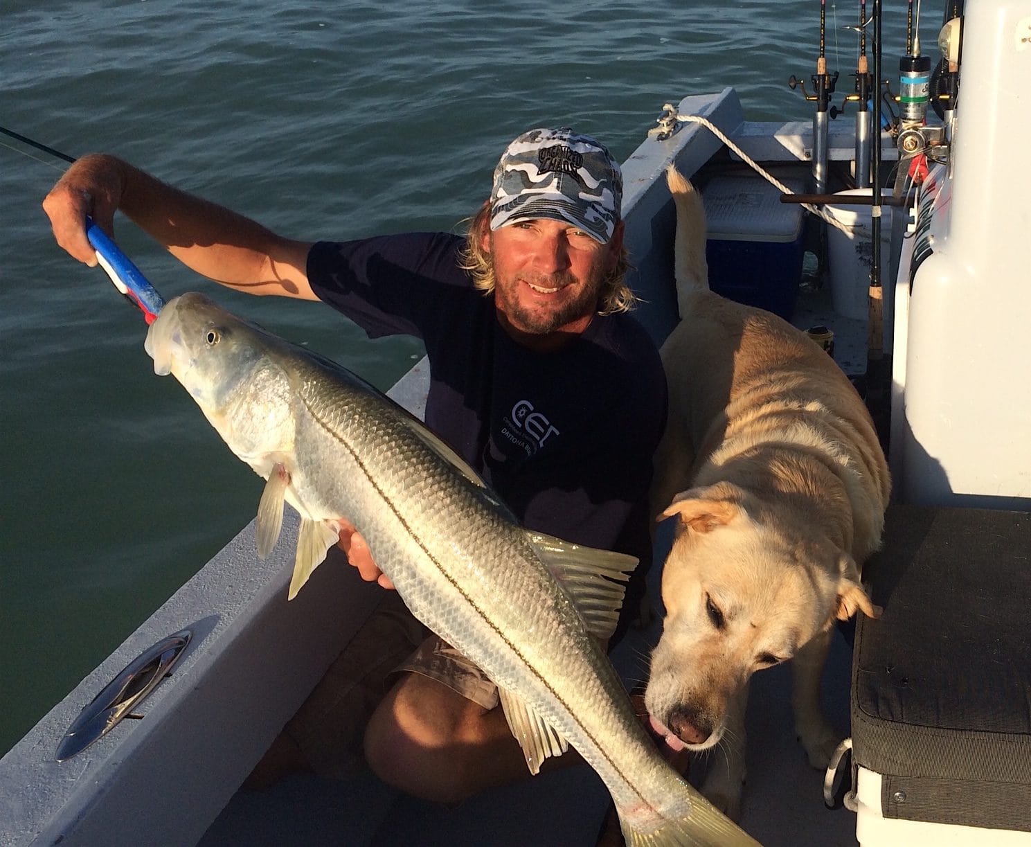 Snook, Catch & Release, Sanibel Fishing & Captiva Fishing, Friday, October 27, 2017, [File Photo - Saturday, May 21, 2016].