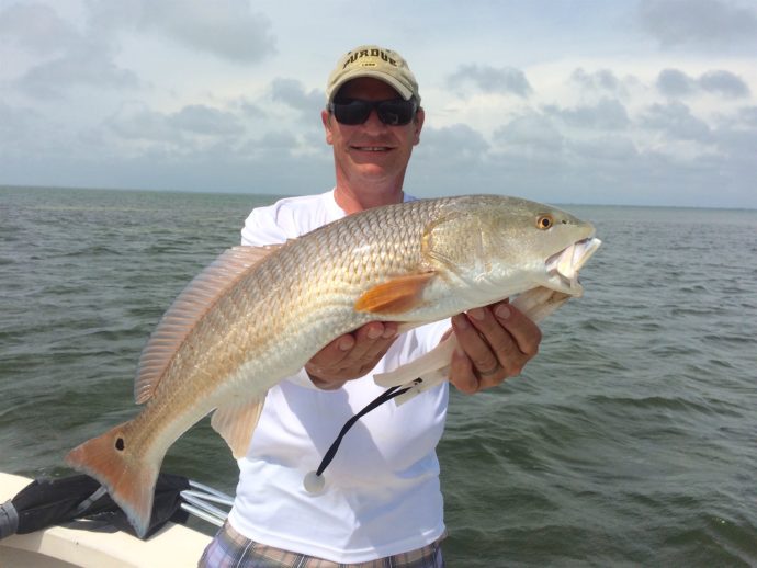 Redfish, Catch & Release, Sanibel Fishing & Captiva Fishing, Sunday, June 11, 2017. File Photo.