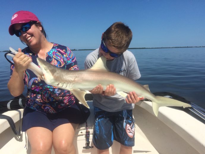 Man Bites Shark, Blacknose Sharks, Catch & Release, Sanibel Fishing & Captiva Fishing, Tuesday, June 28, 2016.