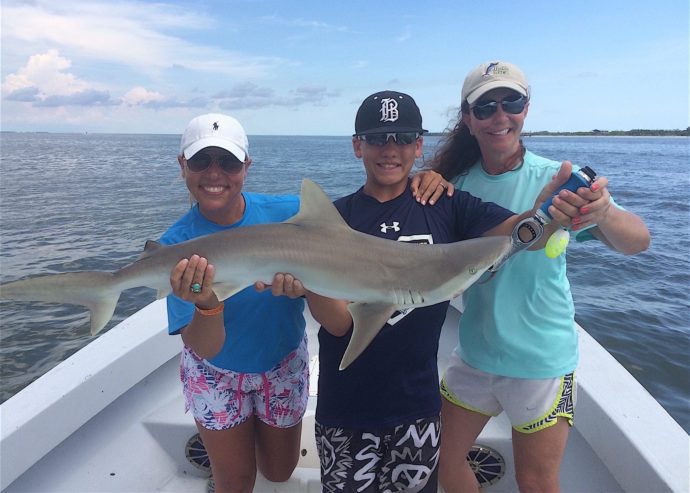 More Blacknose Sharks, Catch & Release, Sanibel Fishing & Captiva Fishing, Wednesday, June 29, 2016.