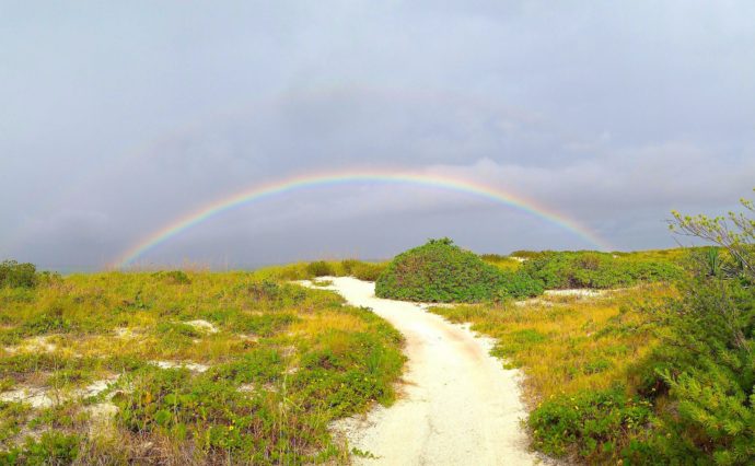 Post Hurricane Irma, Rainbow, North Captiva, Sanibel Fishing & Captiva Fishing, Tuesday, September 12, 2017. File Photo.