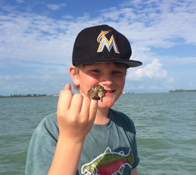 Seahorse, Sanibel Fishing & Captiva Fishing, Saturday, June 11, 2016.