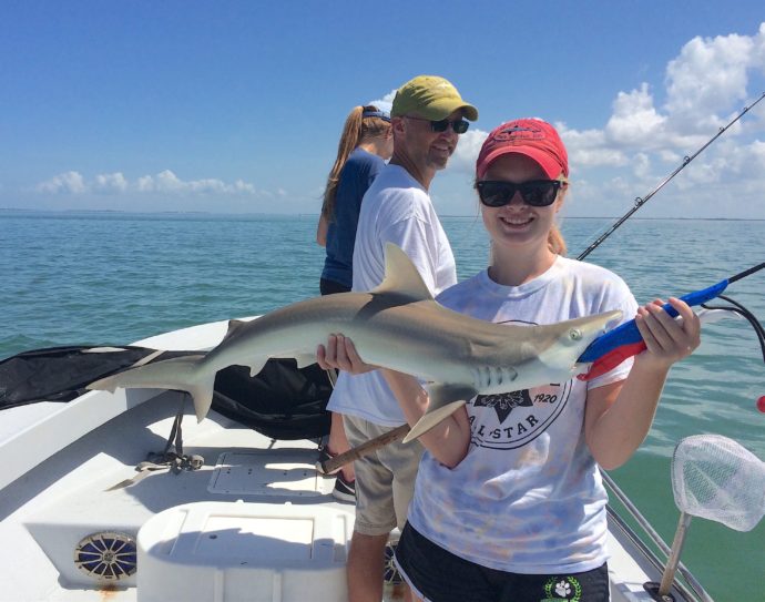 Sharks, Catch & Release, Sanibel Fishing & Captiva Fishing, Friday, June 24, 2016.