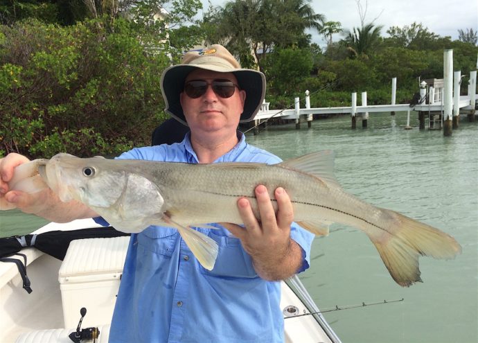 Snook, Sanibel Fishing & Captiva Fishing, Thursday, June 9, 2016.