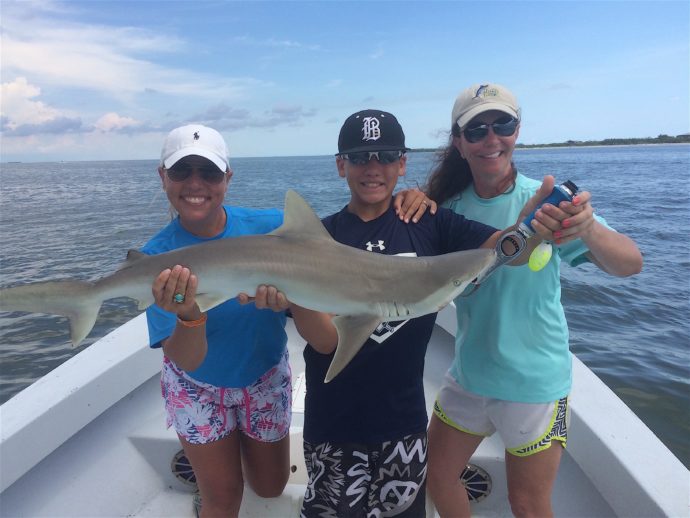 Blacknose Shark, Sanibel Fishing & Captiva Fishing, Saturday, July 16, 2016.
