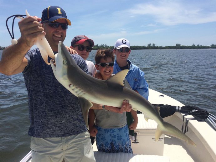 Blacknose Shark, Catch & Release, Sanibel Fishing & Captiva Fishing, Saturday, July 30, 2016.