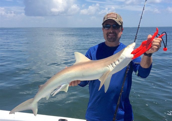 Blacknose Shark, Inshore, Sanibel Fishing & Captiva Fishing, Tuesday, July 12, 2016.