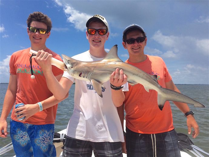 Blacktip Shark, Sanibel Fishing & Captiva Fishing, Wednesday, July 20, 2016.