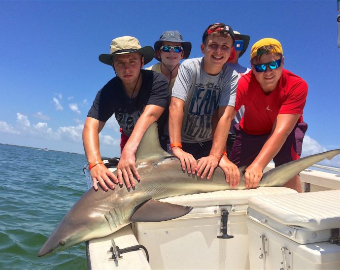 Blacktip Shark, Sanibel Fishing & Captiva Fishing, Saturday, July 9, 2016.