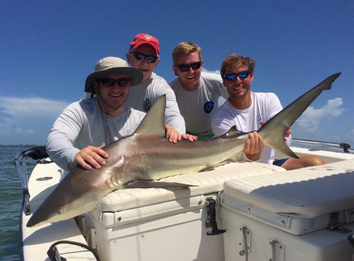 Blacktip Shark, Sanibel Fishing & Captiva Fishing, Thursday, July 7, 2016.