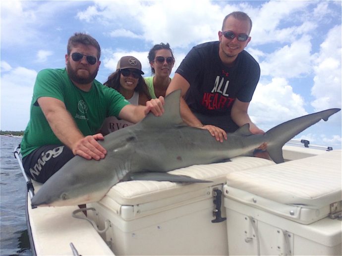 Bull Shark, Sanibel Fishing & Captiva Fishing, Thursday, July 28, 2016.