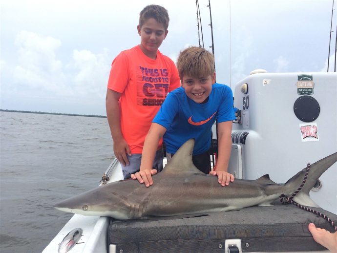 Blacknose Shark, Sanibel Fishing & Captiva Fishing, Thursday, August 11, 2016.