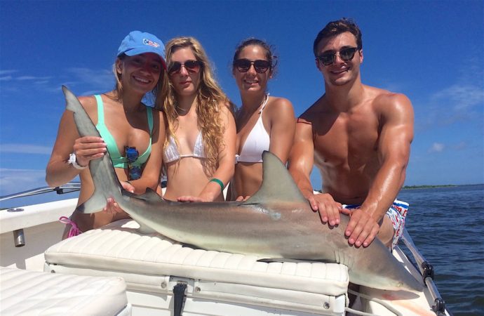 Blacktip Shark, Sanibel Fishing & Captiva Fishing, Wednesday, August 10, 2016.