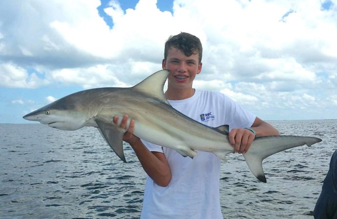 Blacktip Shark, Sanibel Fishing & Captiva Fishing, Thursday, August 18, 2016.