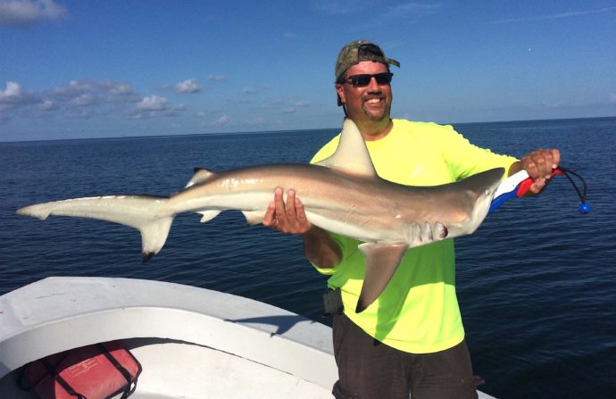 Blacktip Shark, Sanibel Fishing & Captiva Fishing, Sunday, August 21, 2016.
