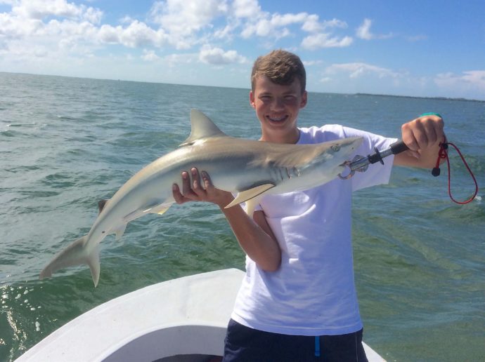 Blacknose Shark, Sanibel Fishing & Captiva Fishing, Wednesday, August 31, 2016.