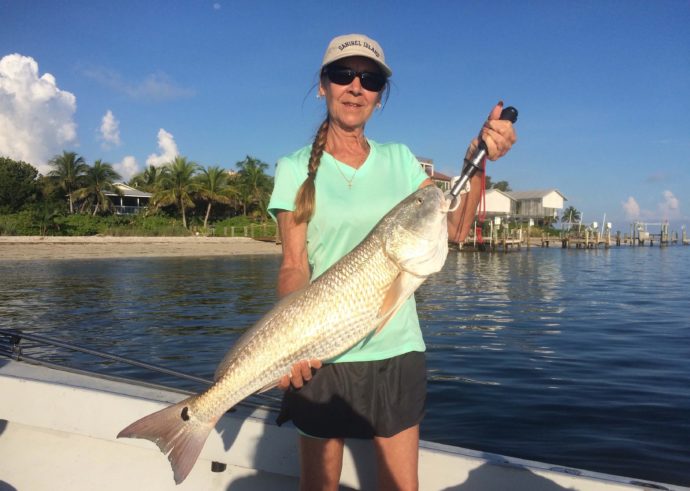 Nice Redfish, Catch & Release, Sanibel Fishing & Captiva Fishing, Wednesday, September 28, 2016.