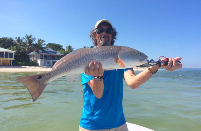 Keeping An Eye On Hurricane Irma, Big Redfish, Catch & Release, North Captiva, Sanibel Fishing & Captiva Fishing, Wednesday, September 6, 2017. File Photo.