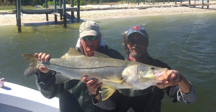 Winning Snook, The Cabbage Key Open Fishing Tournament, Sanibel Fishing & Captiva Fishing, Saturday, October 22, 2016.