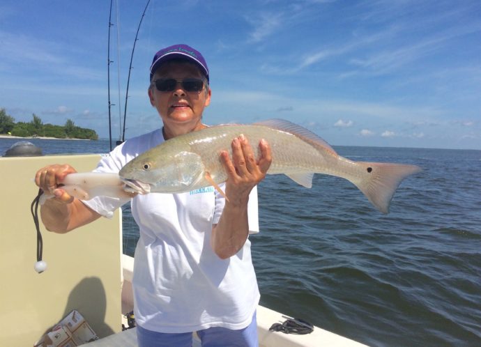 Redfish, Sanibel Fishing & Captiva Fishing, Saturday, October 15, 2016.