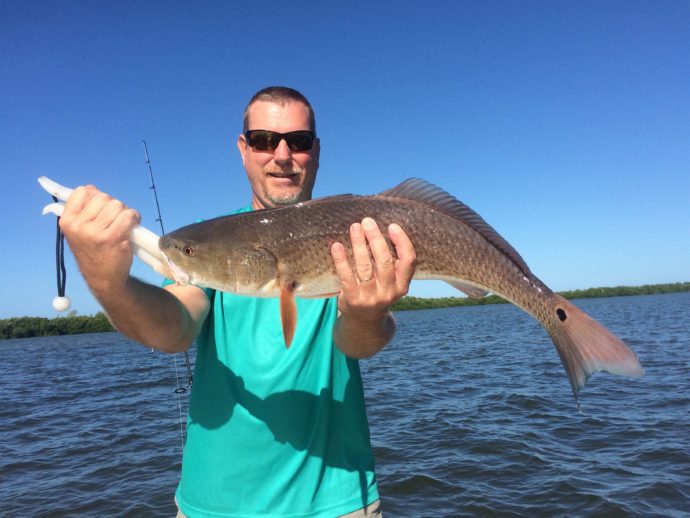 Redfish, Sanibel Fishing & Captiva Fishing, Monday, October 17, 2016.