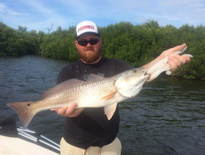 Redfish, Mangroves, Sanibel Fishing & Captiva Fishing, Tuesday, October 25, 2016.