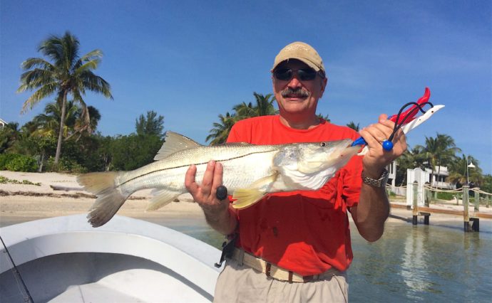 Snook, Sanibel Fishing & Captiva Fishing, Monday, October 10, 2016.