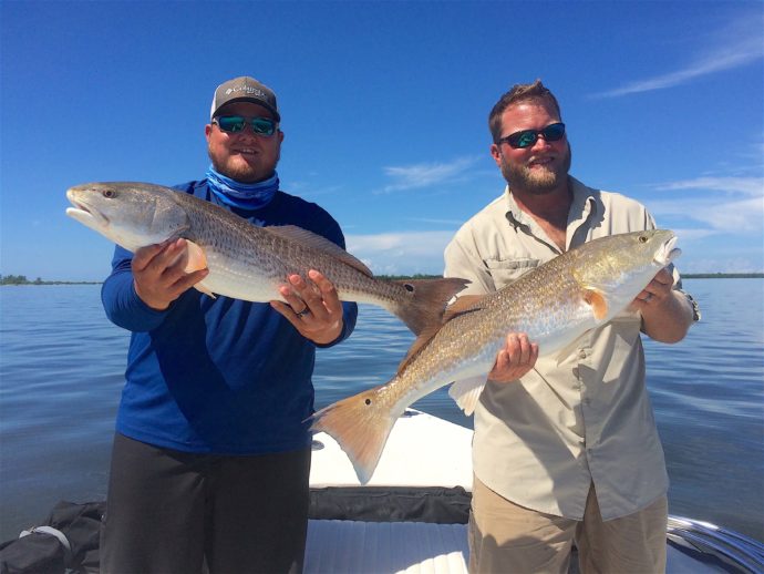 Two Redfish Catch & Release, Sanibel Fishing & Captiva Fishing, Wednesday, September 27, 2017 [File Photo: Sunday, October 2, 2016].
