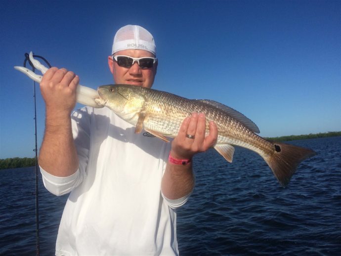 Redfish, Sanibel Fishing & Captiva Fishing, Saturday, November 12, 2016.