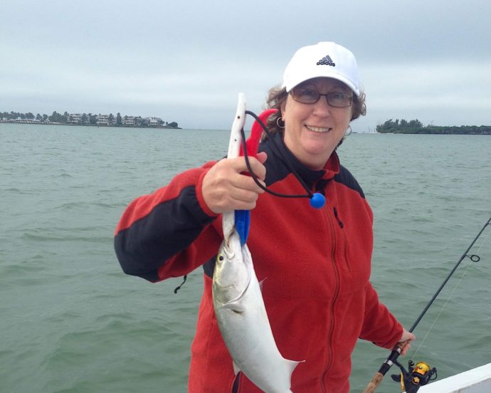 Bluefish, Sanibel Fishing & Captiva Fishing, Sanibel Island, Friday December 23, 2016.