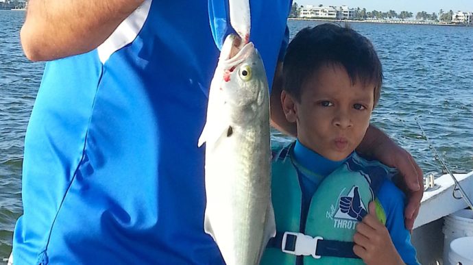 More Bluefish, Sanibel Fishing & Captiva Fishing, Sanibel Island, Tuesday, December 6, 2016.