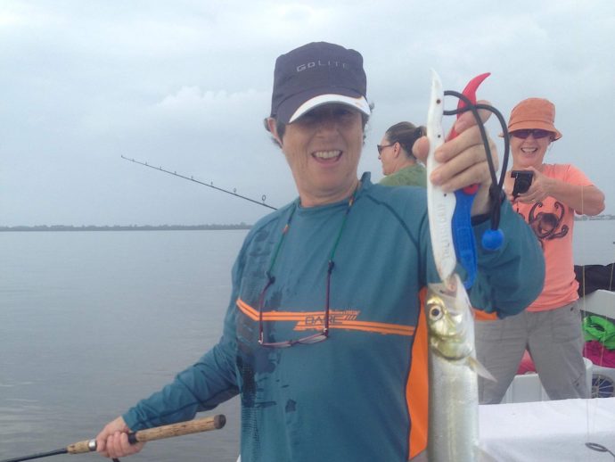 Bluefish, Sanibel Fishing & Captiva Fishing, Sanibel Island, Thursday, December 8, 2016.
