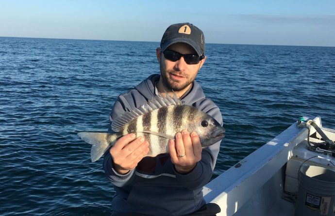 Sheepshead, Sanibel Fishing & Captiva Fishing, Sanibel Island, Tuesday, January 17, 2017.