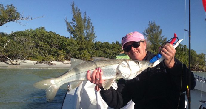 Snook, Sanibel Fishing & Captiva Fishing, Sanibel Island, Tuesday, January 24, 2017.