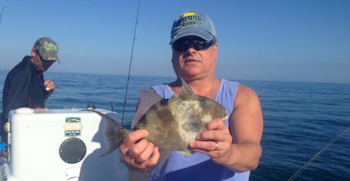Triggerfish, Sanibel Fishing & Captiva Fishing, Sanibel Island, Tuesday January 3, 2017.