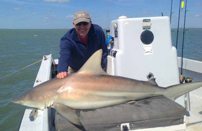 Big Blacktip Shark; Catch & Release, Sanibel Fishing & Captiva Fishing, Sanibel Island, Wednesday, February 15, 2017.
