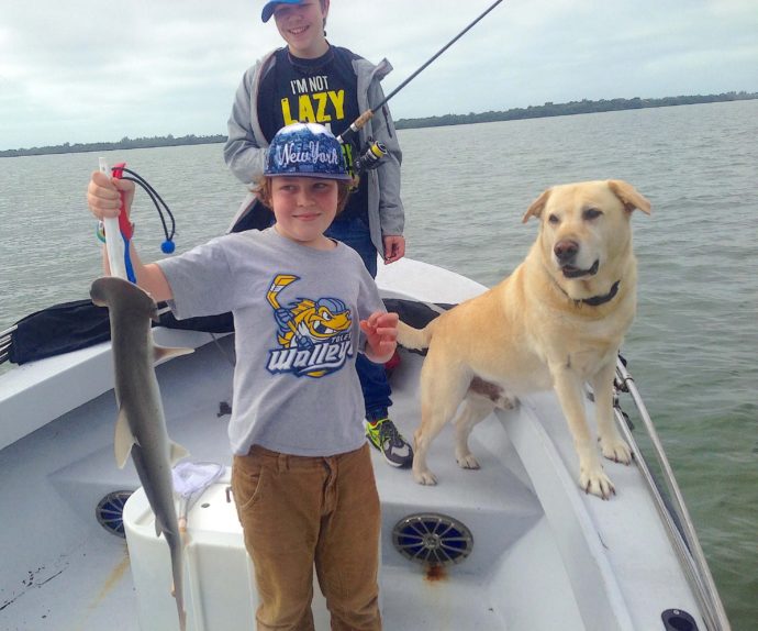 Bonnethead Shark, Sanibel Fishing & Captiva Fishing, Sanibel Island, Sunday, February 26, 2017.