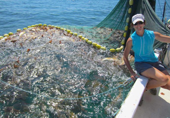 Redfish: Sarah Walters Burnsed, FWC research on red drum spawning, reproduction; latest Sanibel Fishing & Captiva Fishing, Sanibel Island, Thursday, February 9, 2017.