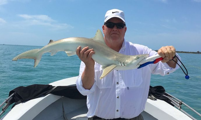 Blacknose Shark, Catch & Release, Sanibel Fishing & Captiva Fishing, Sanibel Island, Saturday, March 25, 2017.