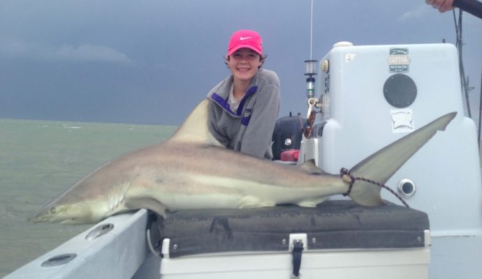 Blacktip Shark, Sanibel Fishing & Captiva Fishing, Sanibel Island, Thursday, March 23, 2017.
