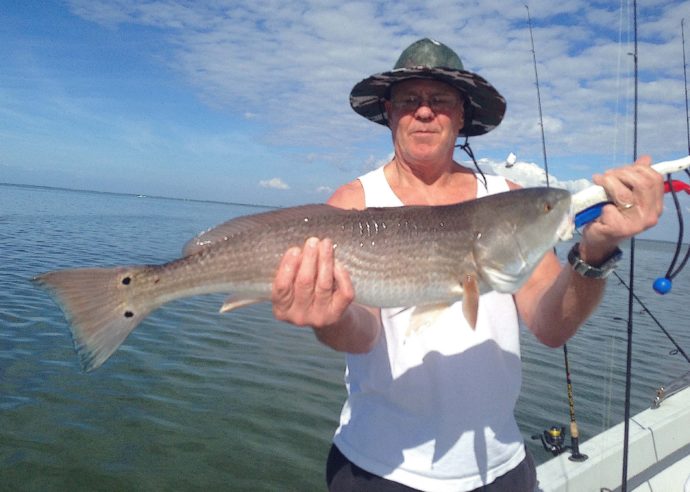 Redfish, Sanibel Fishing & Captiva Fishing, Sanibel Island, Monday, March 6, 2017.