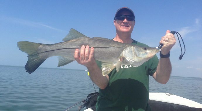 Snook, Catch & Release, Sanibel Fishing & Captiva Fishing, Sanibel Island, Friday, April 7, 2017