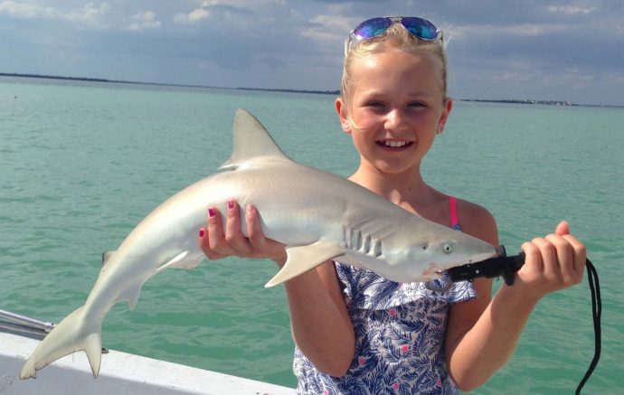 Blacknose Shark, Catch & Release, Sanibel Fishing & Captiva Fishing, Sanibel Island, Friday, October 13, 2017, [File Photo: Tuesday, April 11, 2017].