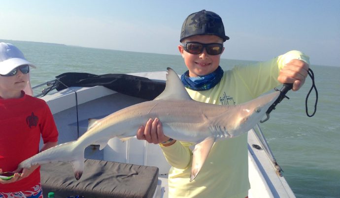 Blacktip Shark, Catch & Release, Sanibel Fishing & Captiva Fishing, Sanibel Island, Sunday, April 9, 2017