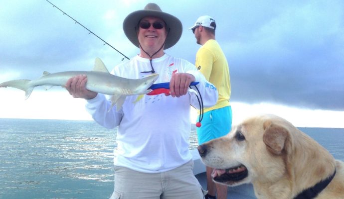 Blacknose Shark, Sanibel Fishing & Captiva Fishing, Sanibel Island, Wednesday, May 3, 2017.